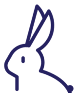 Rabbit Ventures